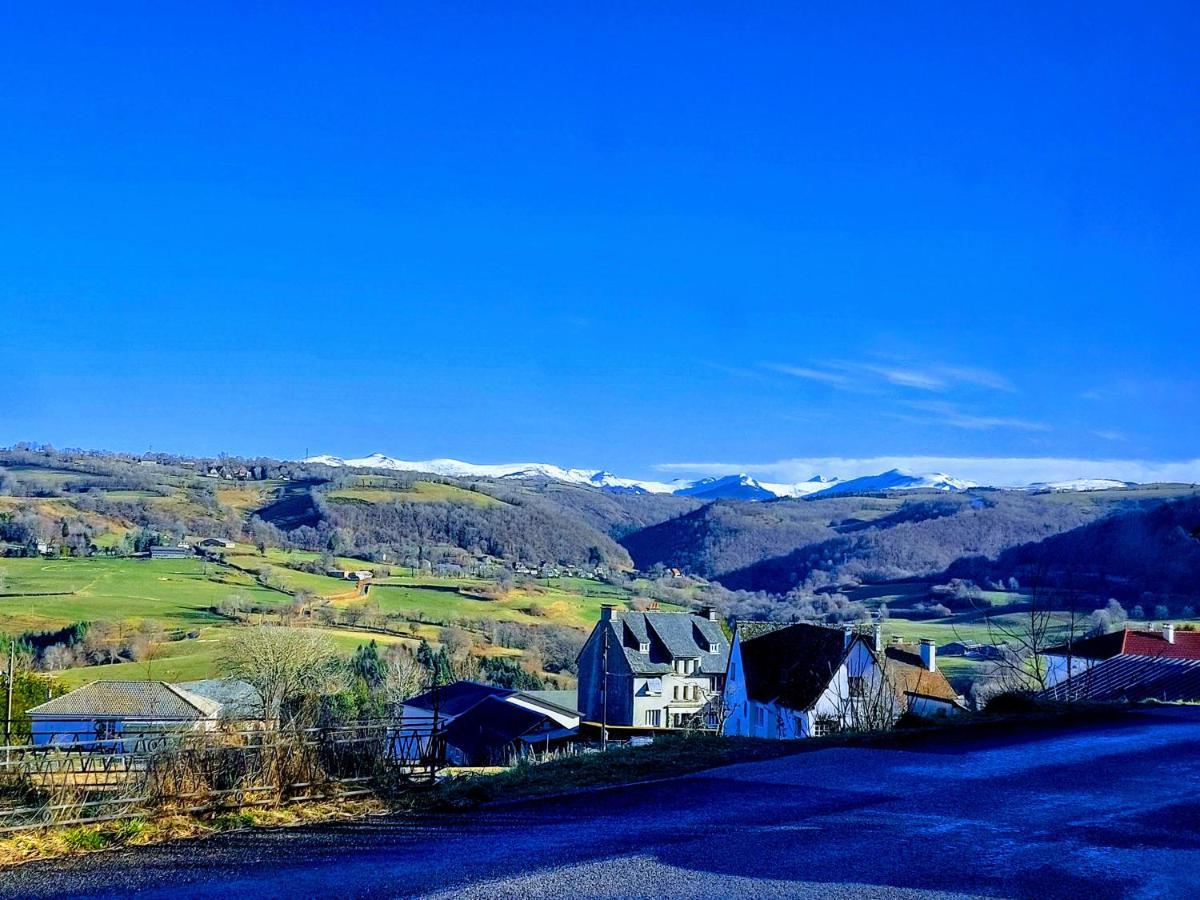 Gites Puy Mary Et Puy Griou Saint-Cernin  Extérieur photo